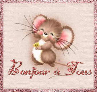 bonjours à tous